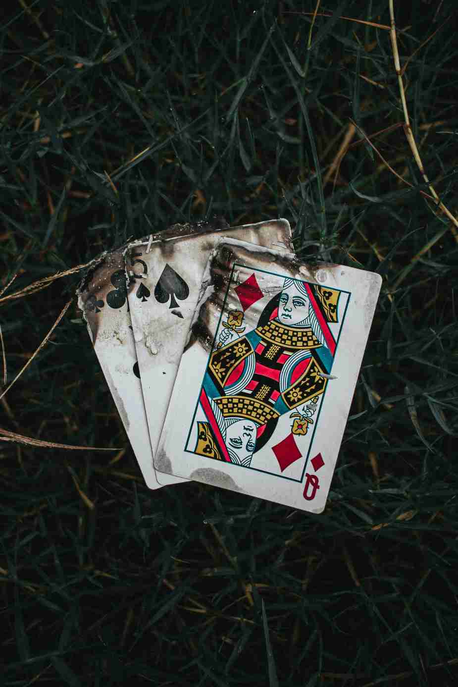 Problemer med Wildsino Gaming Problemer med Wildsino Gaming